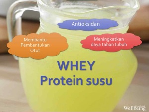 Whey Protein Susu Kandungan Nutrishake